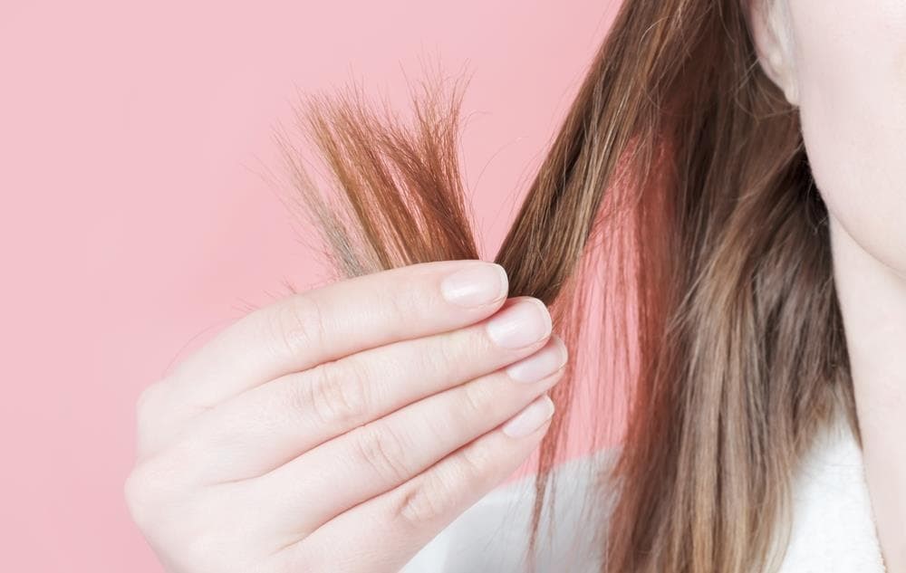 ¿Cabello seco después del verano? Te ayudamos a recuperarlo